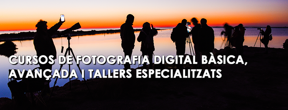 Cursos de fotografia digital bàsica, avançada i tallers especialitzats